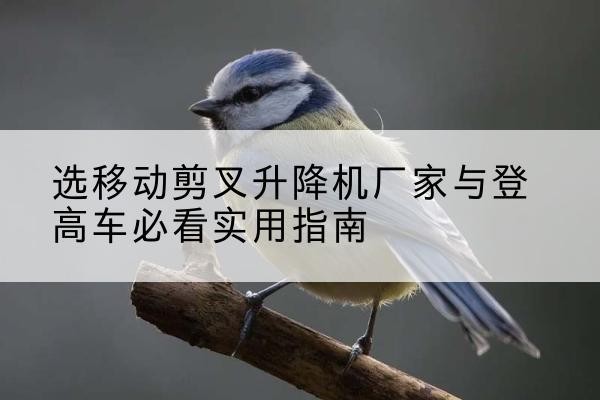 将乐电动升降机厂家-选移动剪叉升降机厂家与登高车必看实用指南