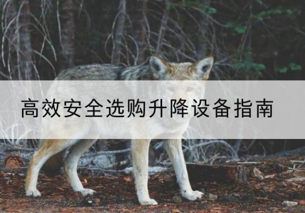 将乐升降货梯厂家推荐-*安全选购升降设备指南