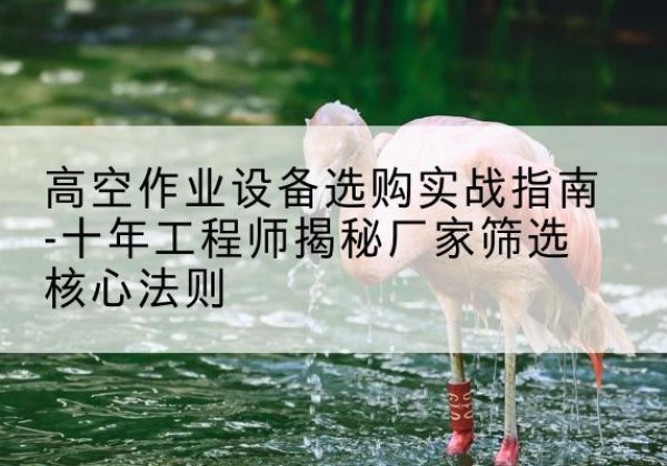 将乐剪叉式升降机厂家-高空作业设备选购实战指南-十年工程师揭秘厂家筛选核心法则